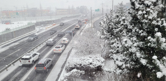 1일 충남 태안군 태안읍 한도로에 많은 눈이 내리고 있다. 태안에는 이날 오후 1시 20분을 기해 대설주의보가 발효됐다.  연합뉴스